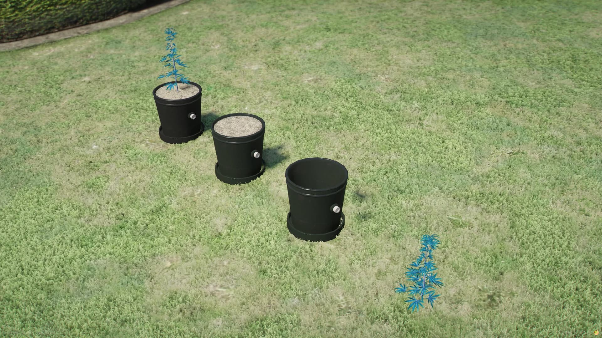 Weed Creator - Image 5