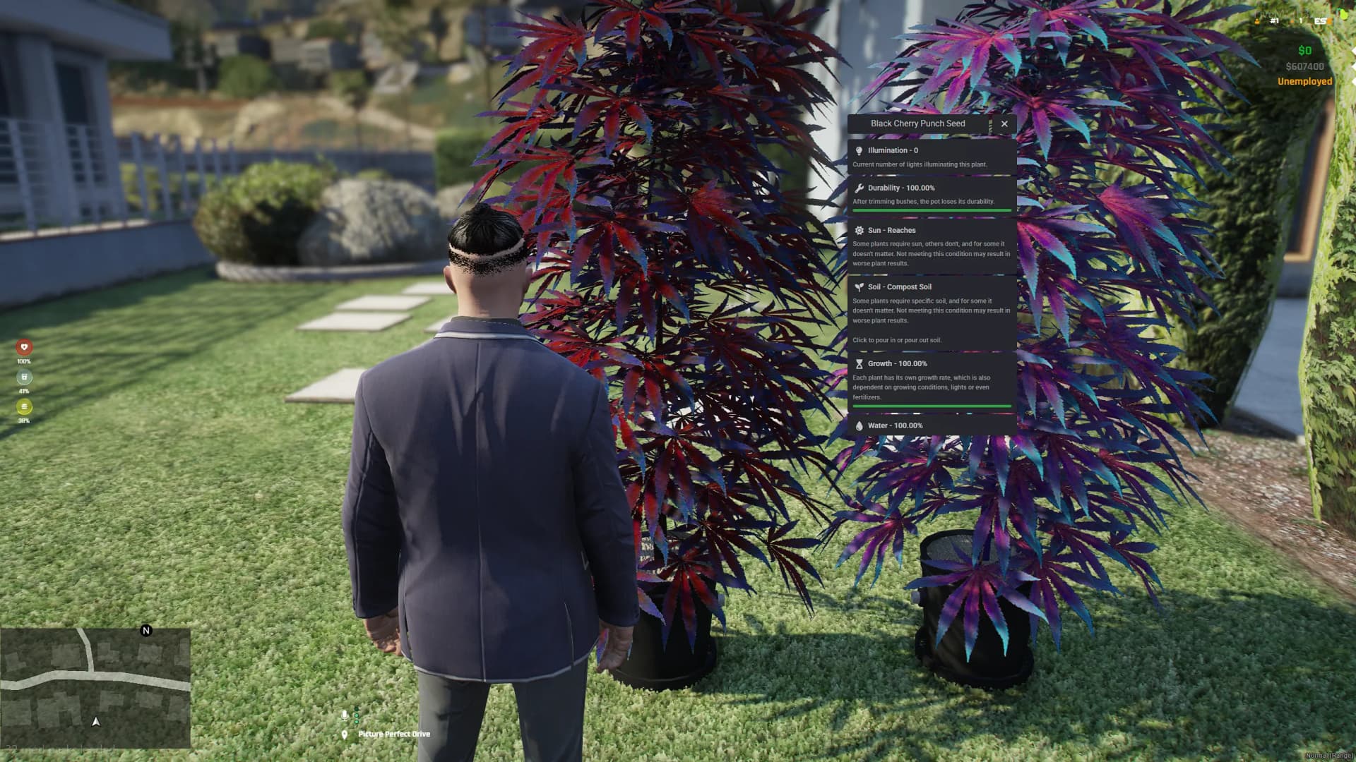 Weed Creator - Image 9